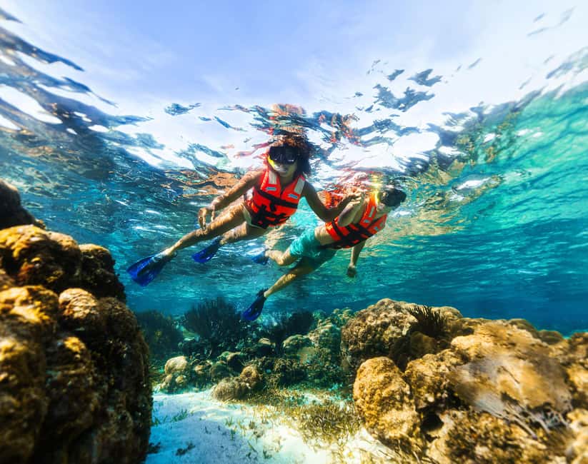 Puerto Morelos: Snorkel, Town Walk, Tequila & Beach Lunch - Practical Tips for a Smoother Day