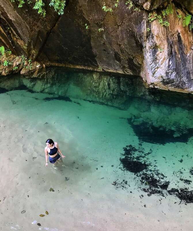 Puerto Vallarta: 4-Hour Jungle Hike and Waterfall Swim - The first hour follows a changing tropical river