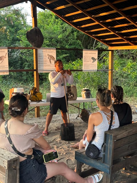 Puerto Vallarta: Baby Turtle Release in Conservation Area - Who should book this Puerto Vallarta experience?
