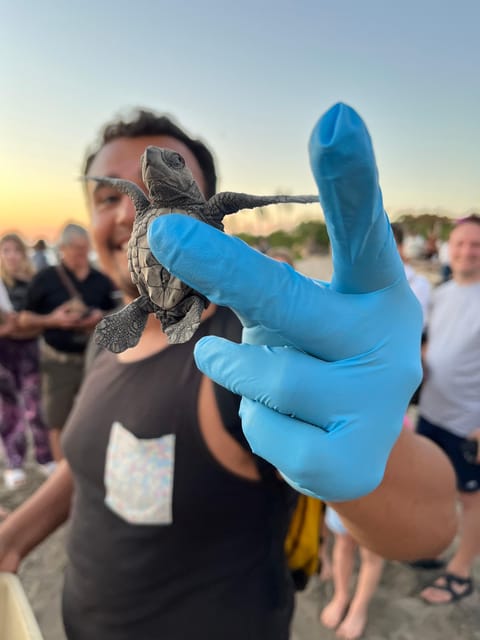 Puerto Vallarta: Baby Turtle Release in Conservation Area - The 15-minute walk to the conservation camp