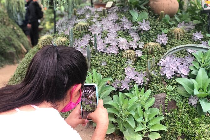 Puerto Vallarta Botanical Gardens Hiking Tour - Why this six-hour outing works so well