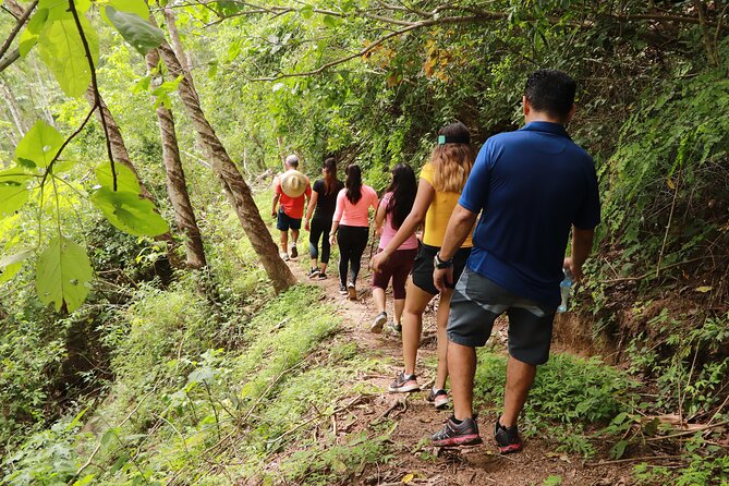 Puerto Vallarta Botanical Gardens Hiking Tour - Meeting rescued animals at the sanctuary