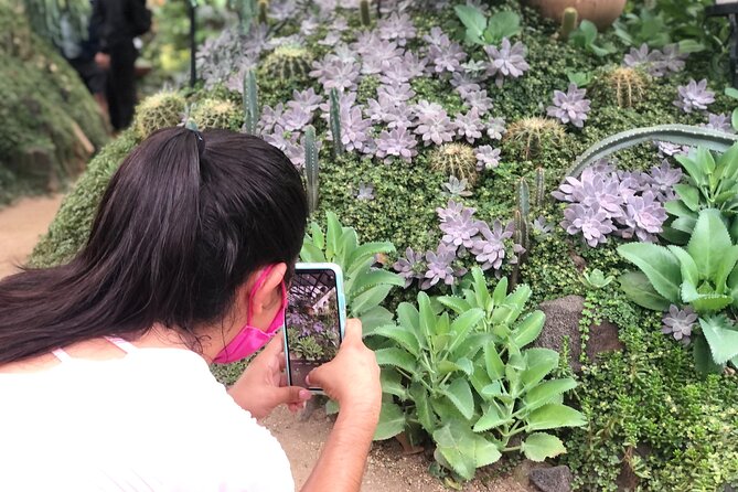 Puerto Vallarta Botanical Gardens Hiking Tour - Is $102 a fair price?