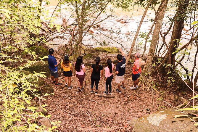 Puerto Vallarta Botanical Gardens Hiking Tour - Who should book this experience?