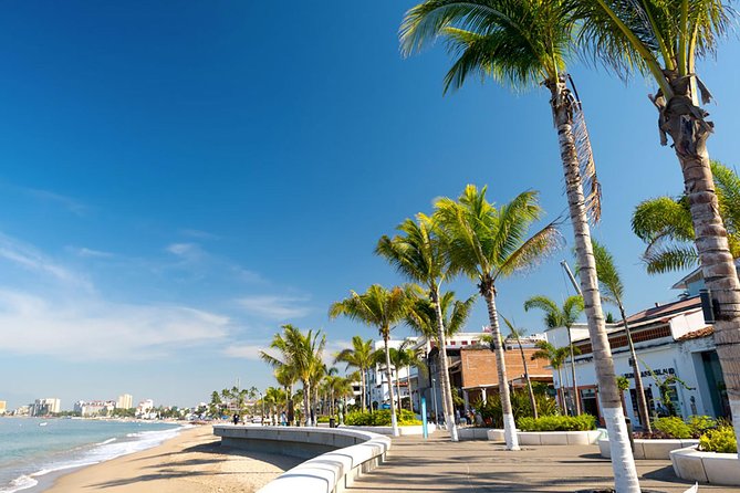 Puerto Vallarta City Tour - Lunch: a welcome break with uneven reports