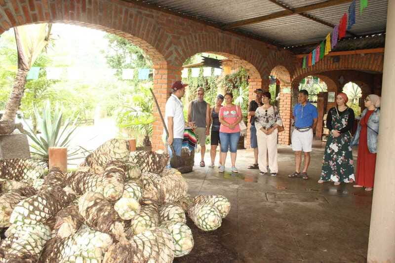 Puerto Vallarta: City Tour, Tequila and Coffee Factory Tour - The mountain drive changes the mood
