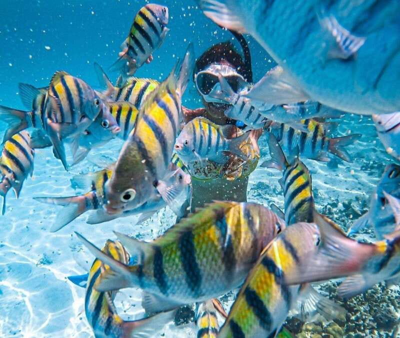 Puerto Vallarta: Los Arcos Islands Boat Tour and Snorkeling - Finding the meeting point in central Puerto Vallarta