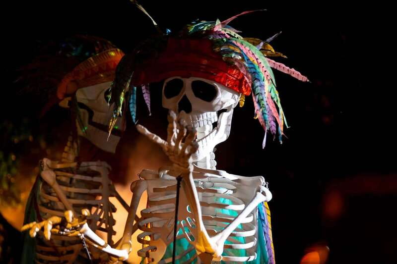 Puerto Vallarta Rhythms of the night, Show & Buffet dinner - A nature story on a jungle stage