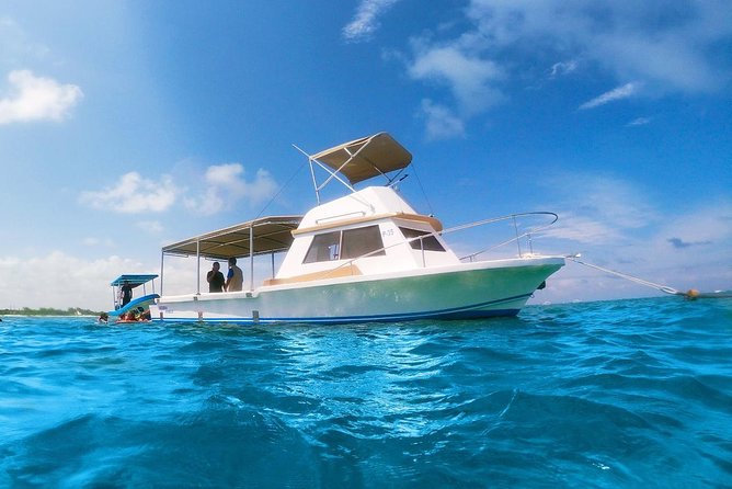 Reef Snorkeling in National Park from Cancun with Beachside Lunch - The reef outing: what the water time is really like