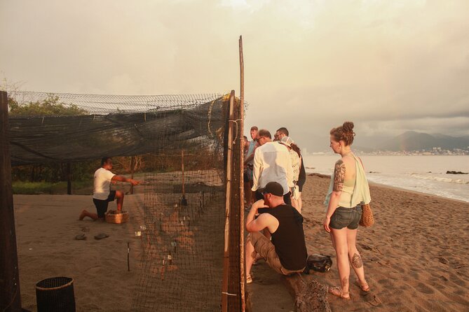 Release of Sea Turtles in Camp Tortuguero - Why this Puerto Vallarta turtle release feels worthwhile