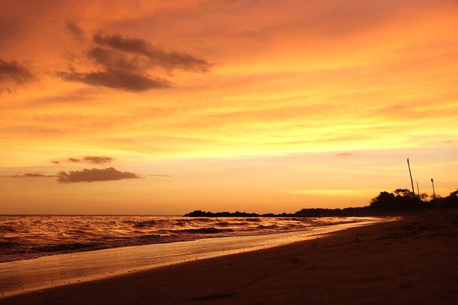 Release of Sea Turtles in Camp Tortuguero - The 45-minute conservation talk