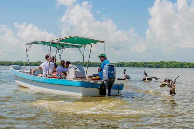 Rio Lagartos guided boat tour- Ek Balam from Valladolid - Lunch after the boat ride