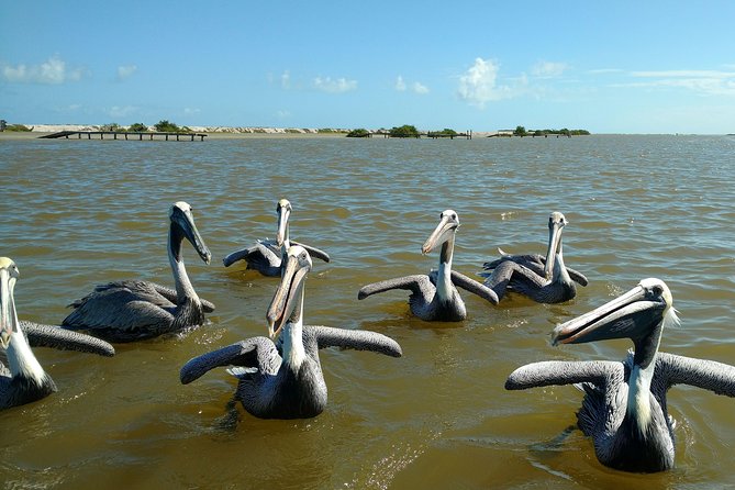 Rio Lagartos guided boat tour- Ek Balam from Valladolid - Ek Balam and its extraordinary facade