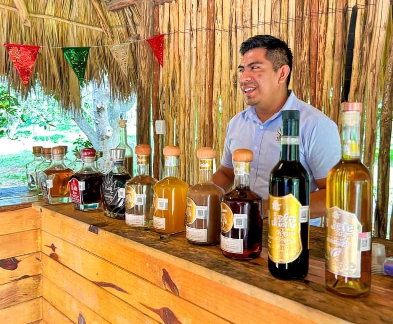 Riviera Maya: Chichen Itza, Valladolid & Cenote Swim Tour - Guides, language, and organization