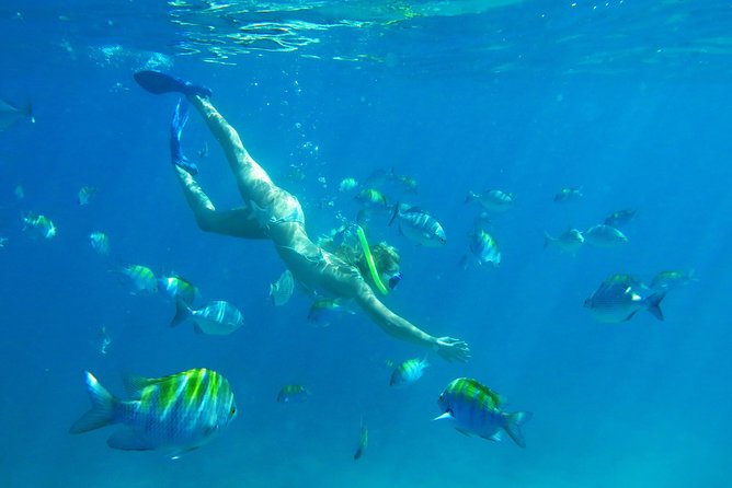 Riviera Maya Luxury Snorkeling Cruise with Lunch and Drinks - Inah Reef: worthwhile, but not a full reef expedition