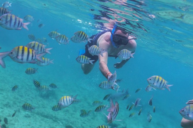 Riviera Maya Luxury Snorkeling Cruise with Lunch and Drinks - Paddleboards, water mats, and a calmer second stop