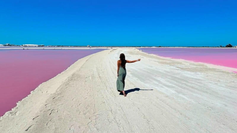 Riviera Maya: Rio Lagartos & Las Coloradas Day Trip w/Lunch - Key points to know before booking