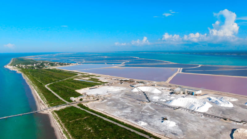 Riviera Maya: Rio Lagartos & Las Coloradas Day Trip w/Lunch - What to bring and how to make the day easier