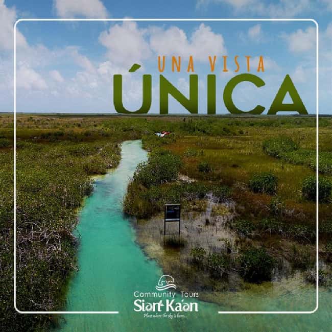 Riviera Maya: Sian Ka'an Reserve Ancient Maya Canals Tour - Capelchén Lagoon and the search for manatees