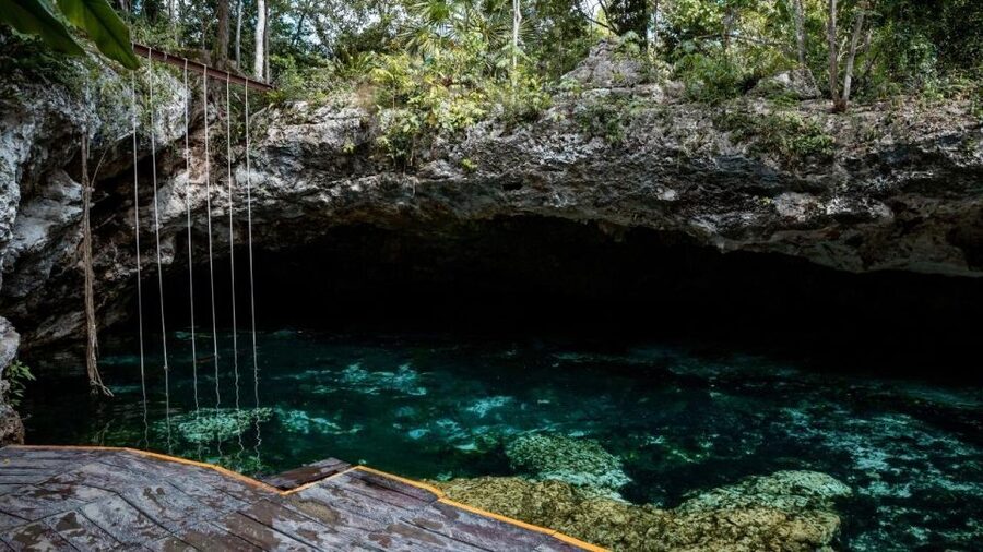 Riviera Maya: Tulum Ruins and 2 Cenotes Half-Day Tour - Chen-Ha adds a second kind of cenote