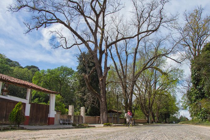 San Sebastian del Oeste - What the vehicle and group size mean