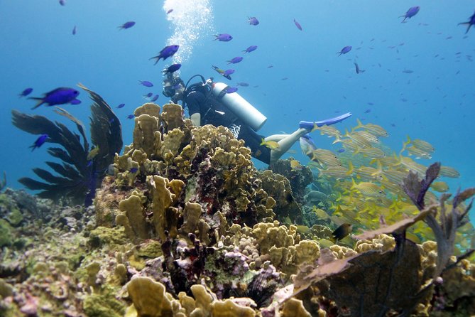 Scuba diving at MUSA the underwater museum for certified divers - What the two-tank schedule means