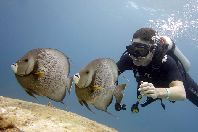 Scuba diving at MUSA the underwater museum for certified divers - First stop: the underwater statues at MUSA