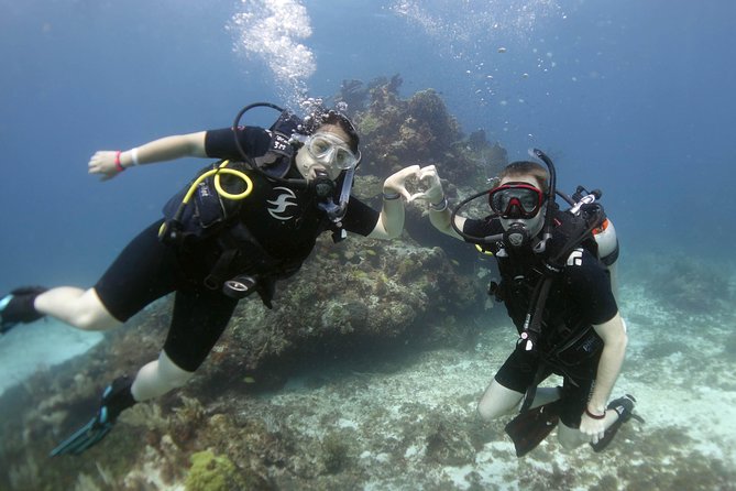 Scuba diving at MUSA the underwater museum for certified divers - Second stop: Manchones reef