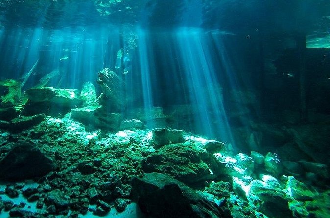 Scuba Diving in Cenote Dos Ojos from Playa del Carmen - Equipment, meals, and the real cost