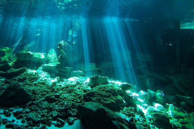 Scuba Diving in Cenote Dos Ojos from Playa del Carmen - Why Cenote Dos Ojos feels so different