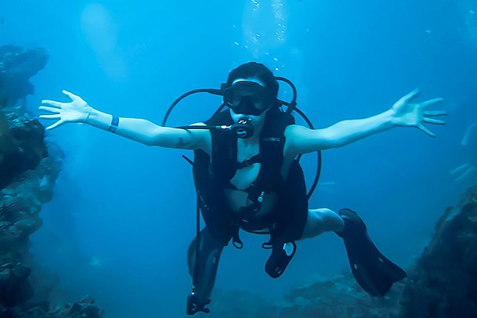 Scuba Diving Marietas Islands - Why the Marietas Islands make a strong scuba outing