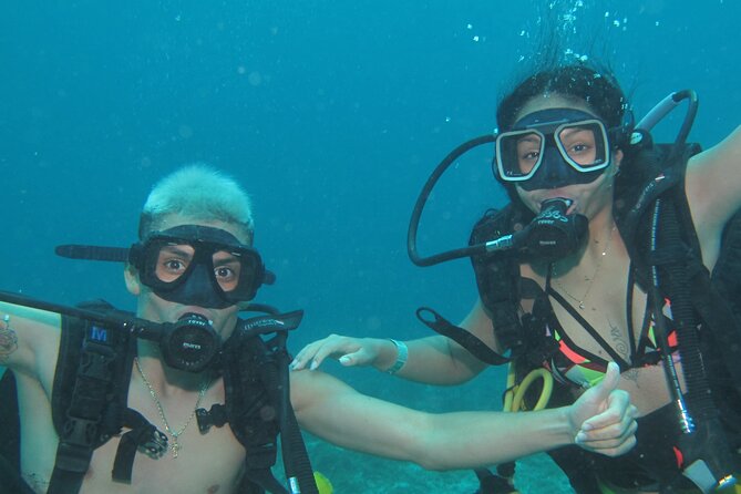 Scuba Diving Under Water Museum and Reef for beginners - Manchones Reef and the second sea session