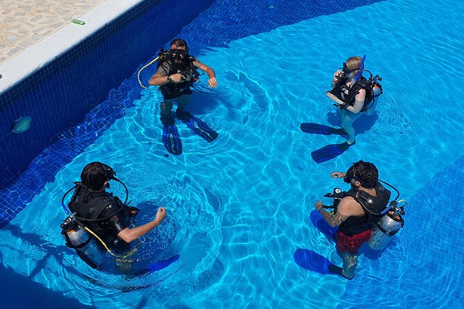 Scuba Diving Under Water Museum and Reef for beginners - Safety, comfort, and beginner suitability