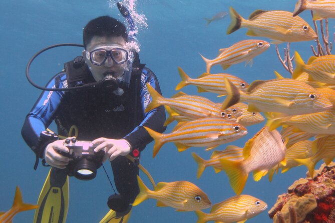Scuba Diving Under Water Museum and Reef for beginners - Who will enjoy this Cancun experience