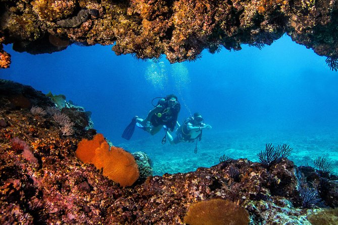 Scuba Diving with a 5-Star PADI Center in Puerto Vallarta - Marietas Islands, a famous marine reserve