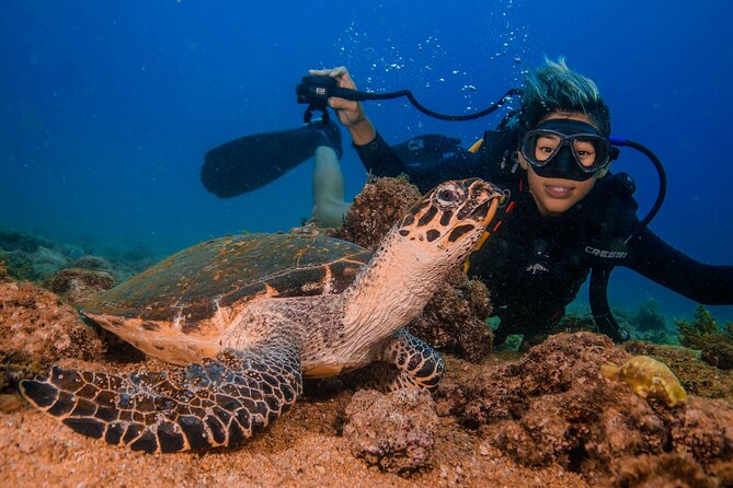 Scuba Diving with a 5-Star PADI Center in Puerto Vallarta - Two underwater sessions, then a long surface interval
