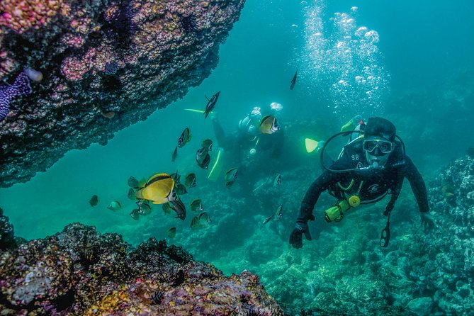 Scuba Diving with a 5-Star PADI Center in Puerto Vallarta - The PADI staff and the safety side