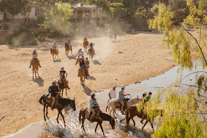 Sea Safari & Beach BBQ at secluded Pizota jungle beach - What the $169 price really covers