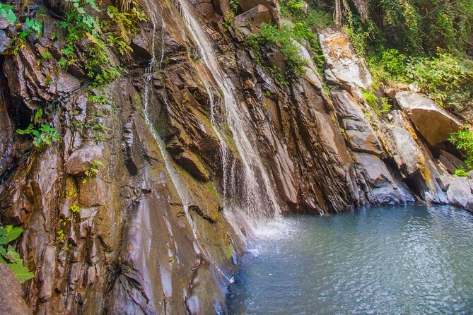 Sea Safari & Beach BBQ at secluded Pizota jungle beach - Who should book this six-and-a-half-hour outing