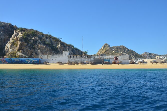 Shared Tour to the Arch of Cabo San Lucas - What you may see beneath the boat