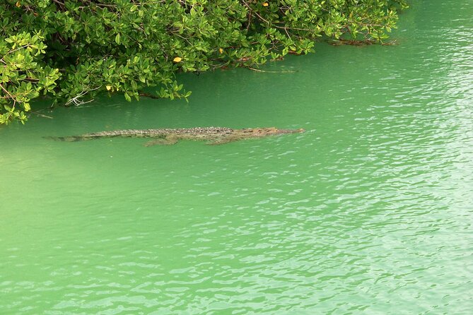 Sian Ka'an Boat Experience from Riviera Maya to Tulum - Open water and reef snorkeling