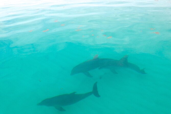 Sian Ka'an Boat Experience from Riviera Maya to Tulum - The 6:30 a.m. pickup from Playa del Carmen