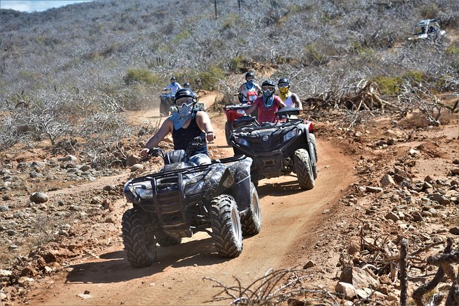 Single ATV Tour from Migriño Beach & Desert - Migriño Beach and the Pacific views