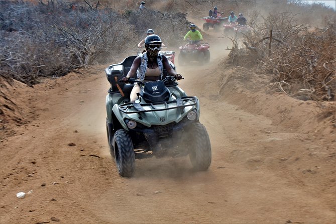 Single ATV Tour from Migriño Beach & Desert - Mangroves, dunes, and desert terrain