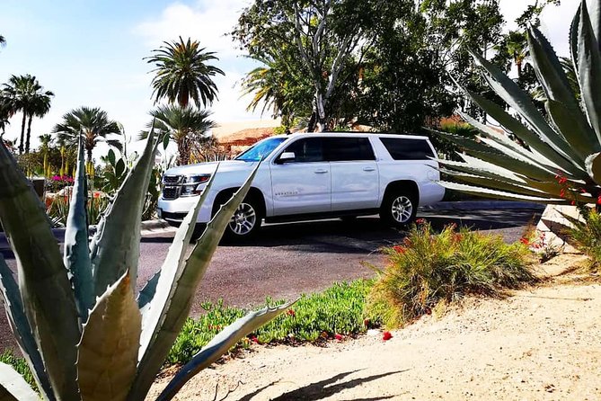 SJD Airport to Cabo San Lucas - One way service - Who should book this airport transfer?