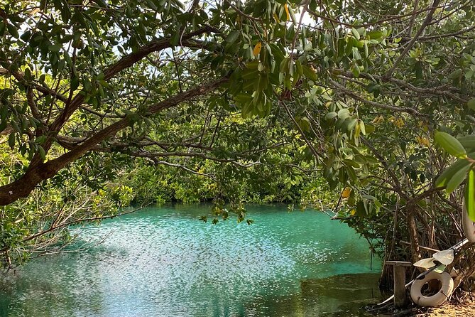 Small-Group 3 Cenotes Adventure Tour - Is $169 a fair price?