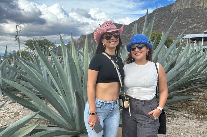 Small Group Boerve del Agua and Mezcal Tour from Oaxaca Centro - Learning how mezcal is made near Tlacolula