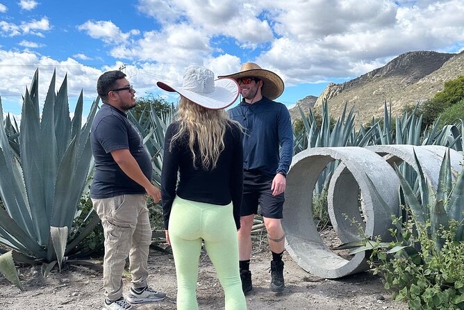 Small Group Boerve del Agua and Mezcal Tour from Oaxaca Centro - Group size, timing, and who will enjoy it
