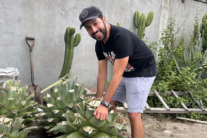 Small Group Boerve del Agua and Mezcal Tour from Oaxaca Centro - Booking advice and final verdict
