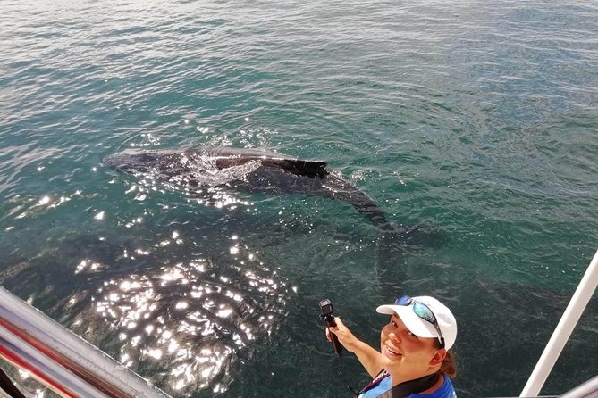 Small-Group Half-Day Whale-Watching Tour in Puerto Vallarta - What the $110 Price Buys You